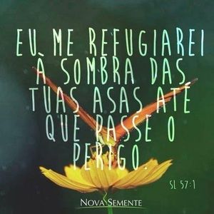 Meet your Posher, Anne francis